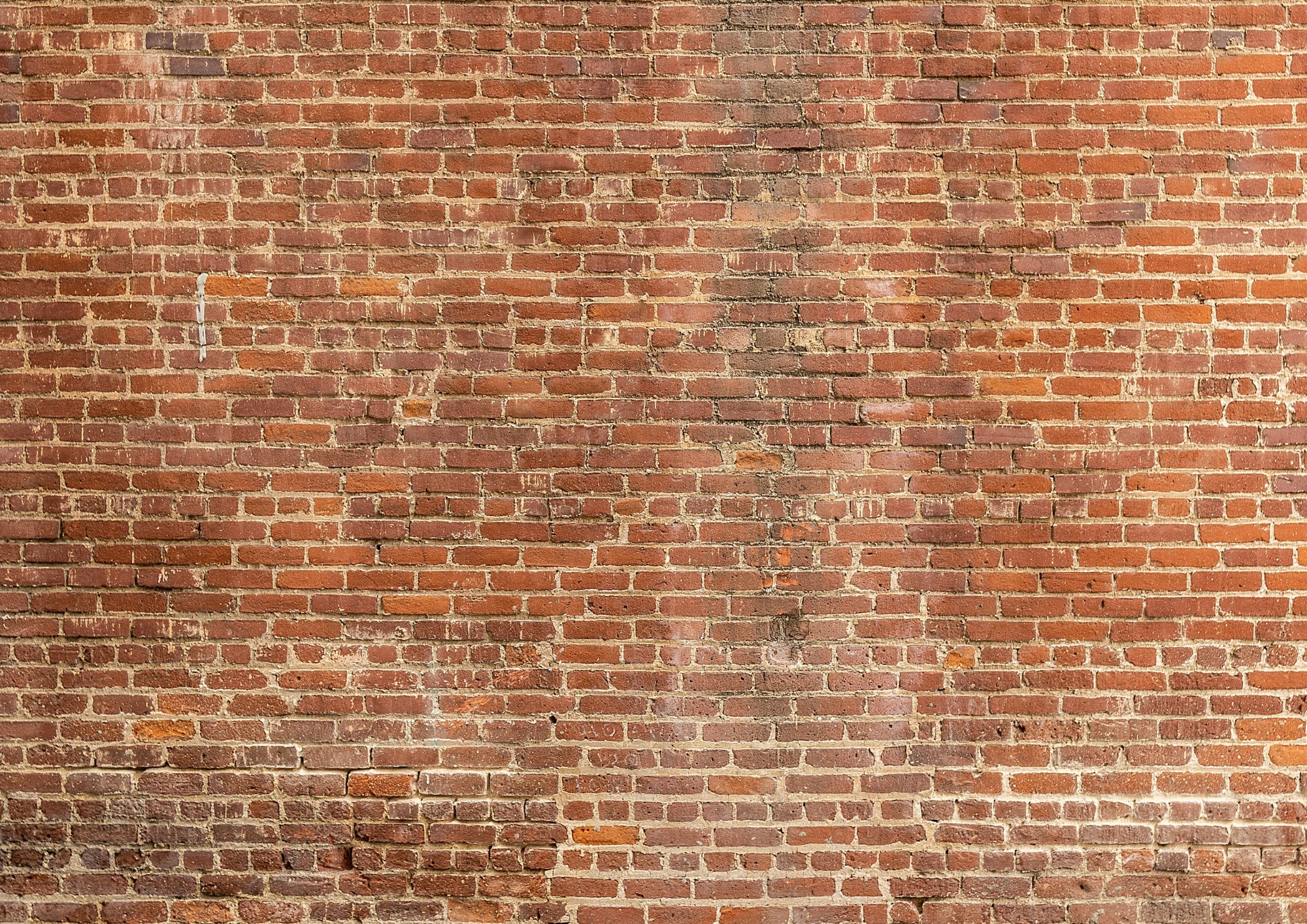 brick wall